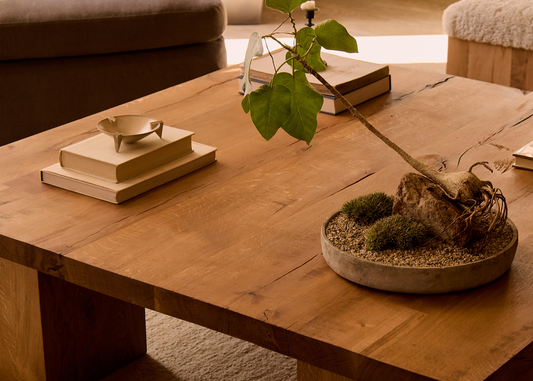 A conversation with House of Leon