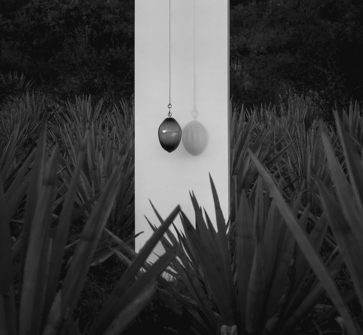 Tobalá Pendant