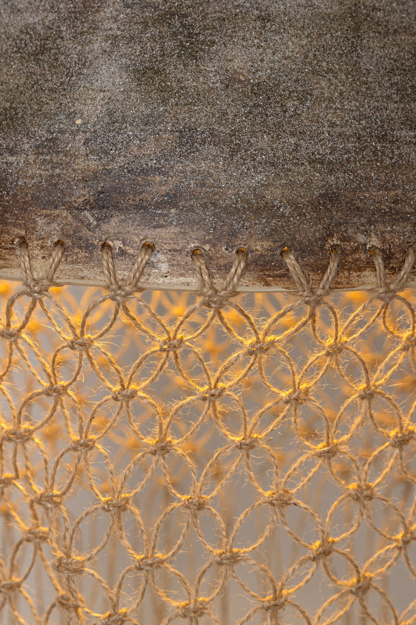 Zahara 1 Pendant Lamp