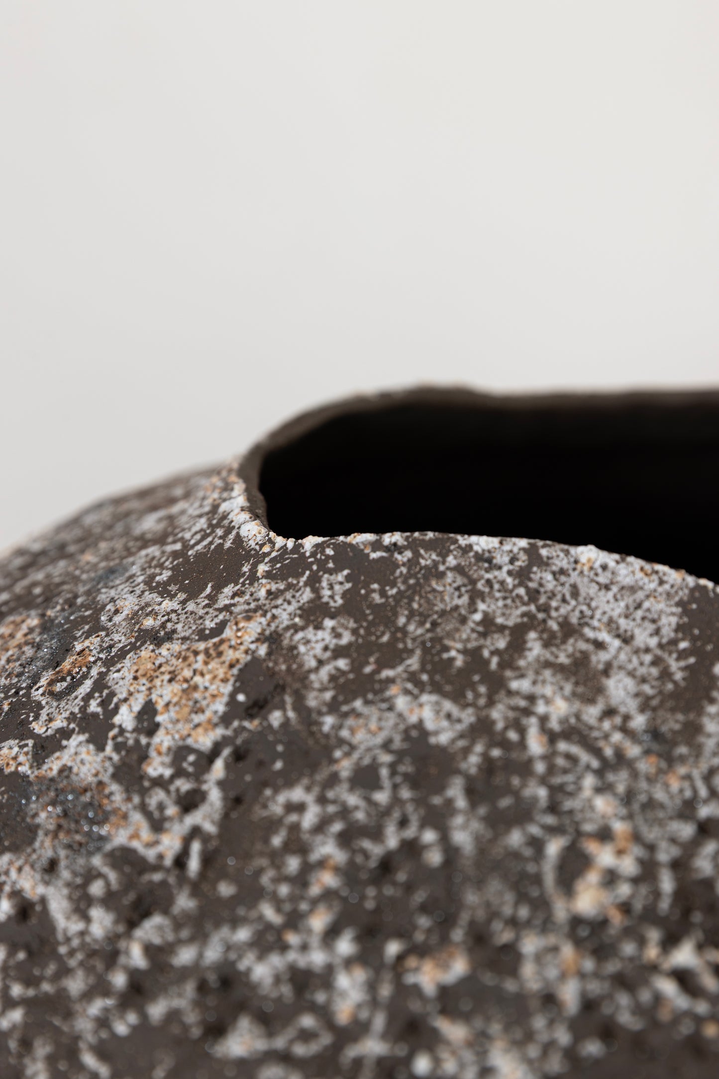Fossil Vase