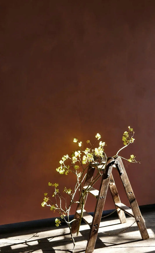 Bauwerk Colour Pheasant