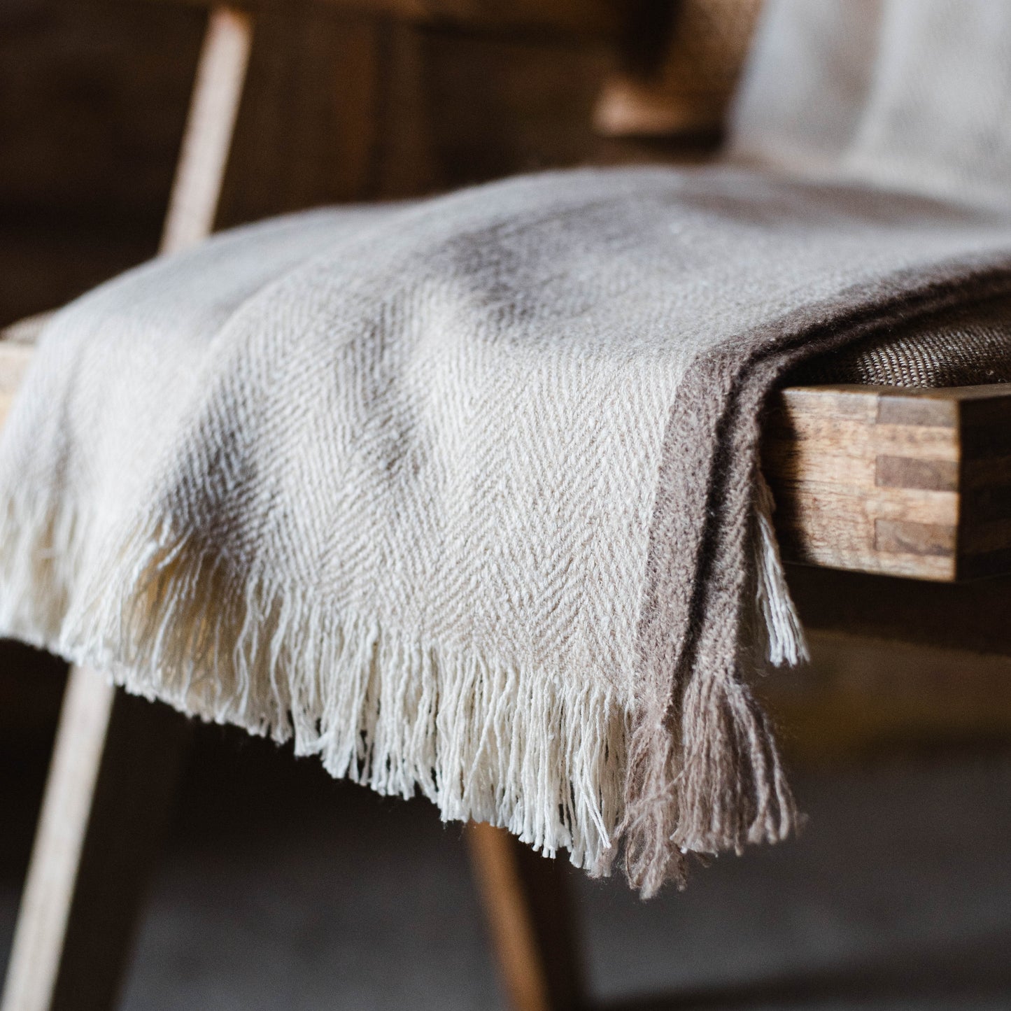 Assam Field  Cashmere  & Silk Throw