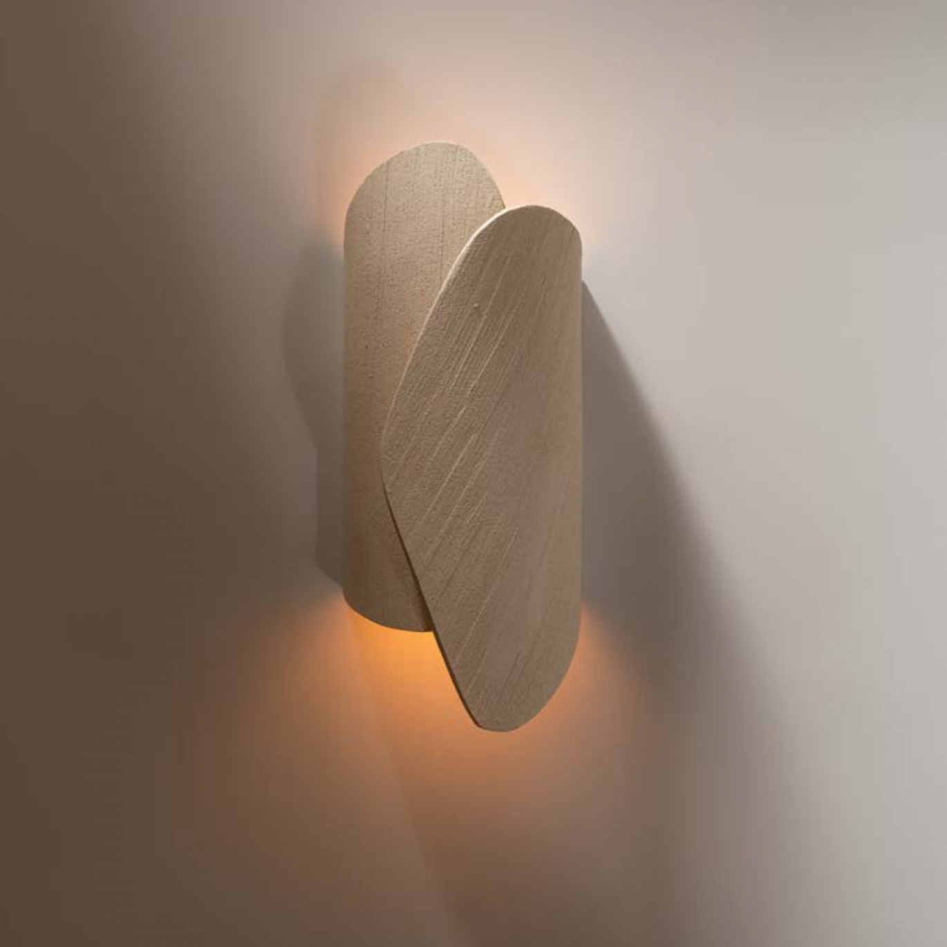 Sconce Palm