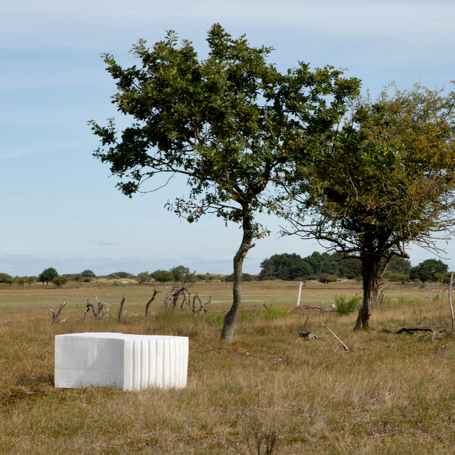 Whale Bench – White Glossy