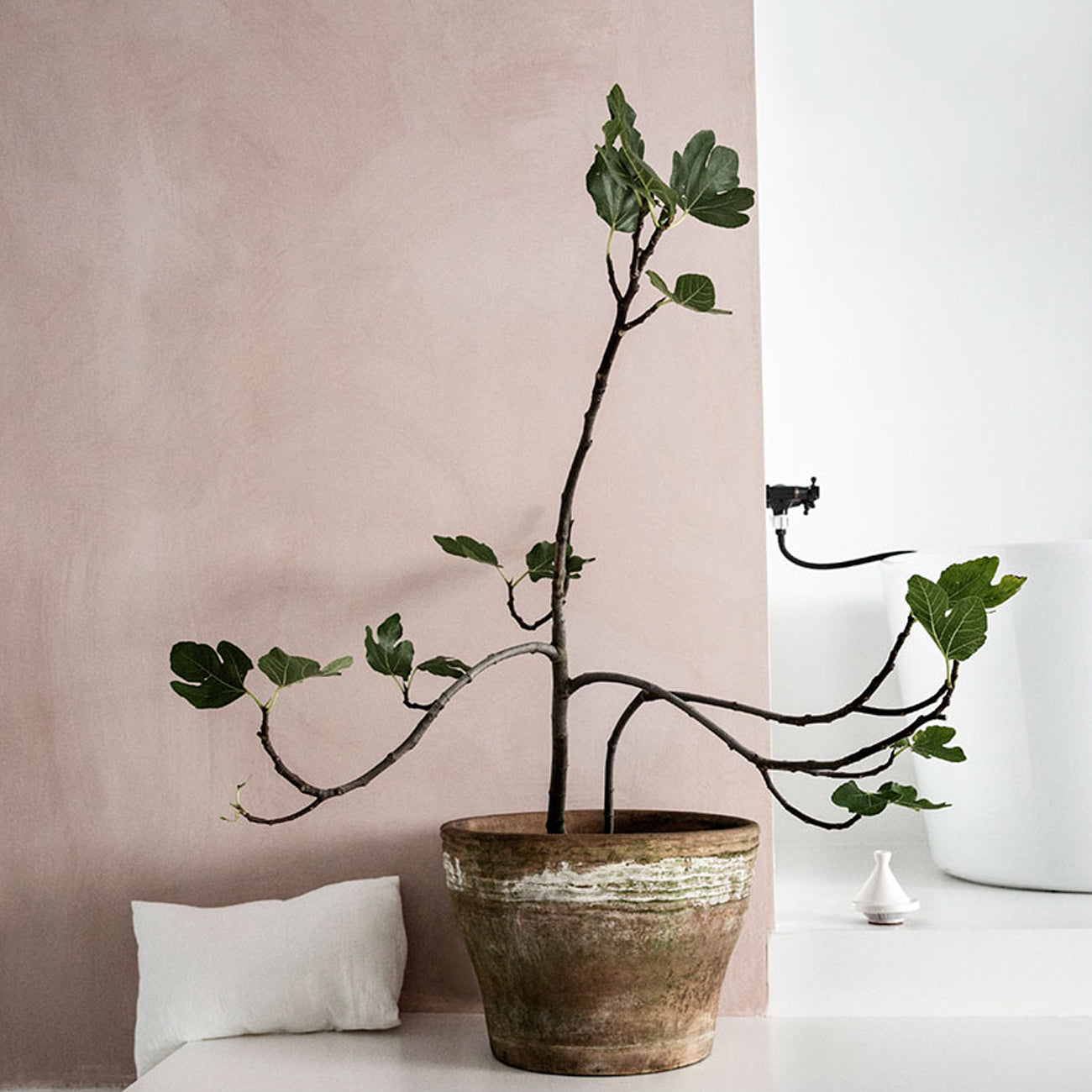 Bauwerk Colour Marrakesh