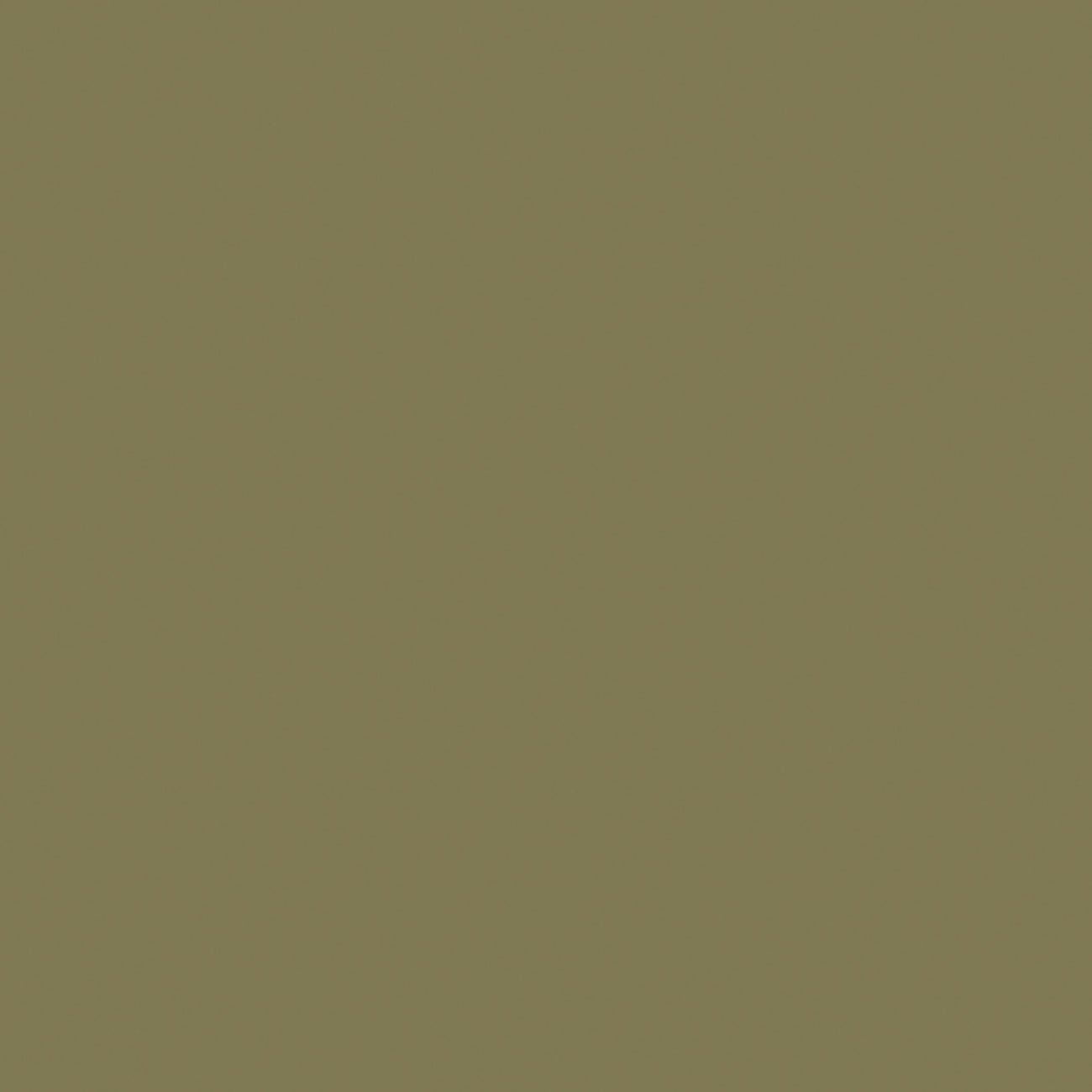 Bauwerk Colour Olive